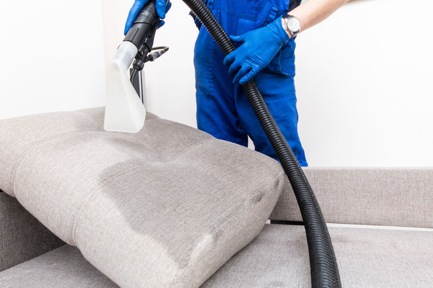 Cleaning service. Man janitor in gloves and uniform vacuum clean sofa with professional equipment.